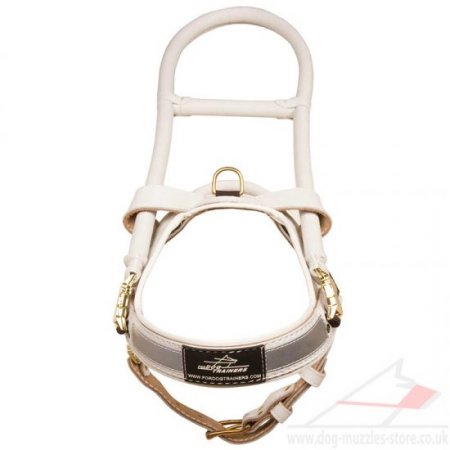 Large Assistance Dog Mobility Harness with Handle
