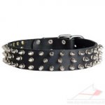 Spiked Dog Collar for Strong Dog Style and Comfort