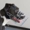 Wire Dog Muzzle for Pit Bull Terrier, Pitbull, XL Bully Breeds