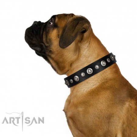 Luxury Black Leather Dog Collar with Studs FDT Artisan