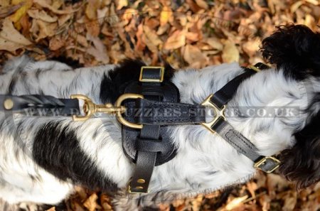Super Comfy Y-Shaped Dog Chest Harness for Spaniel