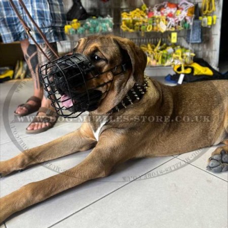 Special Rubberized Basket Dog Muzzle for Cane Corso