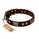 Fancy Brown Dog Collar 'Magic Amulet'