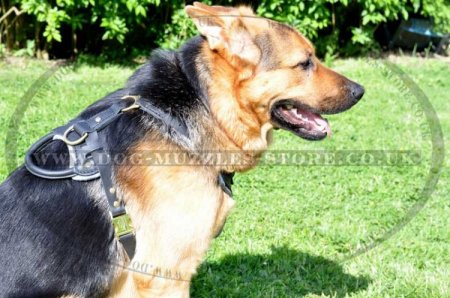 Favorite Large Leather Dog Harness UK Best Seller