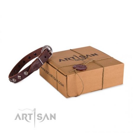 Exclusive Brown Leather Dog Collar With Nameplate UK