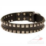 Dog Leather Collar with 2 Rows of Studs