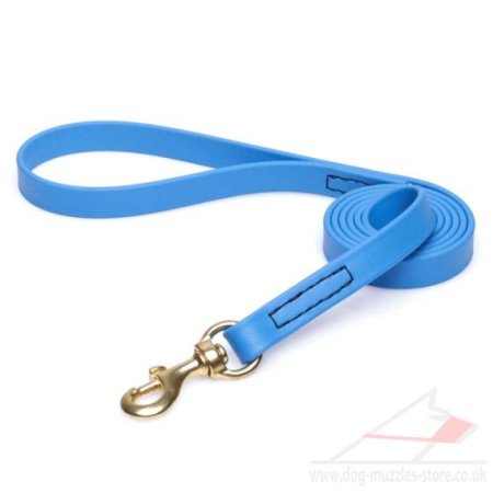 Bright Blue Dog Leash with Handle & Brass Snap 6 ft Biothane