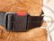 Nylon Dog Collar for Dog De Bordeaux | Strong Large Dog Collar