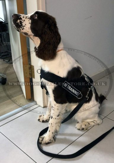 Non Pull Dog Harness UK Bestseller with Front Clip and Ring