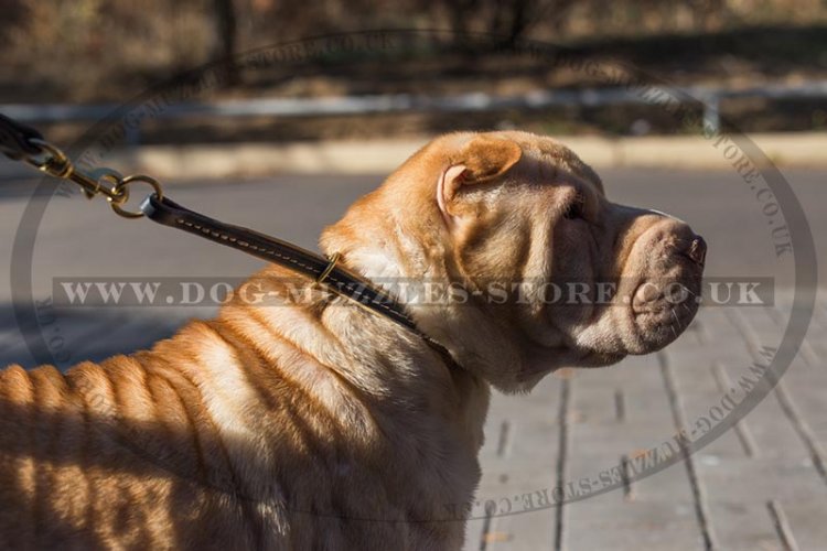 "Large Snake" Durable Leather Choke Dog Collar For Shar Pei - Click Image to Close