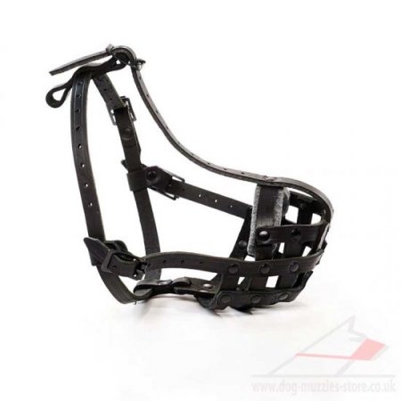 French Bulldog Muzzle UK Bestseller Basket Muzzle for Frenchie