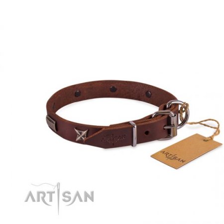 Handmade Strong Brown Studded Dog Collar FDT Artisan