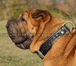 Braided Leather Dog Collar for Shar Pei Dogs Style and Comfort