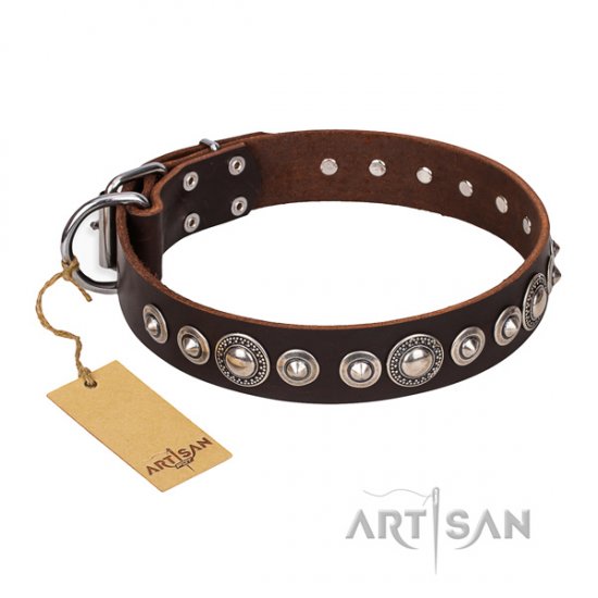 Great Brown Dog Collar with Studs FDT Artisan 'Step and Sparkle' - Click Image to Close