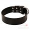 Wide Dog Collar | 2 Inch Wide Dog Collar