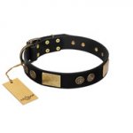 NEW! Black Leather Collar For A Dog "Chicci-Glam" FDT Artisan