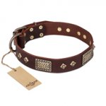 Great Leather Dog Collar with Decorations 'Loving Owner'