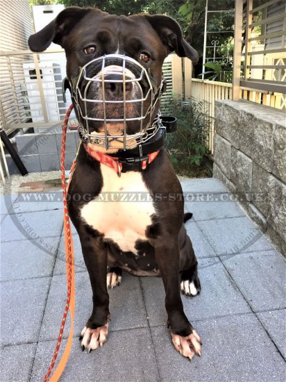 Wire Basket Dog Muzzle That Allows Drinking and Eating
