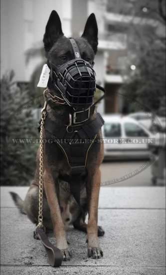 Police K9 Dog Muzzle for Service Dogs Leather Padded