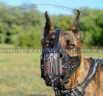 Great Dane Muzzle Super Strong Design "Barbed Wire"