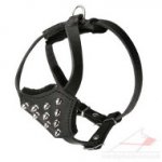 Small Dog Harness with Spikes | Luxury Dog Harness UK Size S