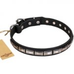 Wonderful Black Leather Dog Collar With Studs FDT Artisan