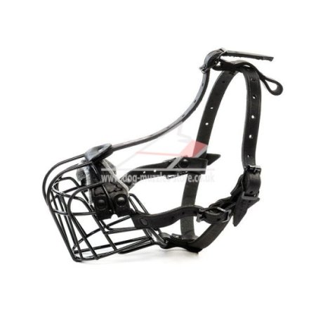 American XL Bully Muzzle Size Black Covered Wire Basket