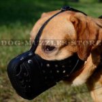 Labrador Retriever Dog Leather Muzzle for Work, Police&Military