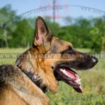 Nylon Dog Collar for German Shepherd | Strong Dog Collar