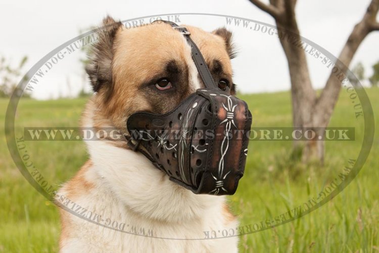 Central Asian Shepherd Painted Strong Dog Muzzle, Leather