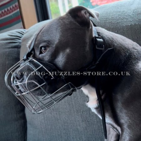 Metal Wire Dog Muzzle For XL Bully Size