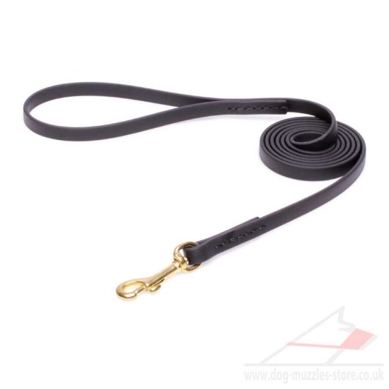 Thin shop dog leash