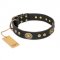 Best Black Dog Collar FDT Artisan 'Golden Radiance' 1 1/2 inch