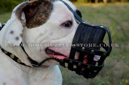 Bestseller!Soft Muzzle for American Bulldog Made of Real Leather