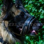 Choose New Leather Dog Muzzle Loop for Belgian Shepherd Tervuren