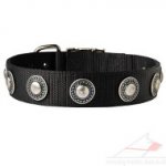 Designer Dog Collar with Silver Medals | Vintage Dog Collar