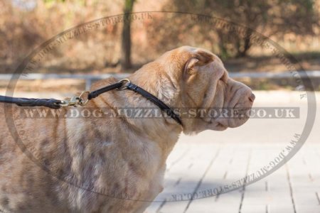 Shar Pei Dog Collar Round Leather Choker