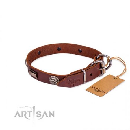 Functional Brown Studded Buckle Dog Collar FDT Artisan