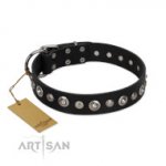 Luxury Black Leather Dog Collar with Studs FDT Artisan