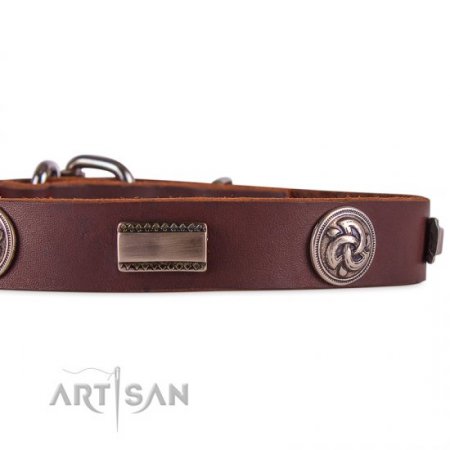 Functional Brown Studded Buckle Dog Collar FDT Artisan