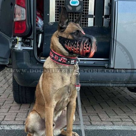 Belgian Shepherd Muzzle with Flame Painted Design