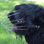 Basket Muzzle for Dogs Like Black Russian Terrier UK Bestseller