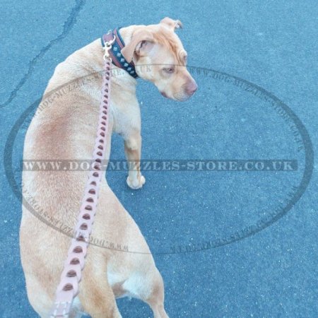 Dog Leash New Leather Chain Design with Nappa Padded Handle