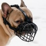 Black French Bulldog Basket Muzzle for Flat Faced Dogs