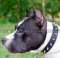 Spiked Dog Collar UK | Best Dog Collar for Amstaff