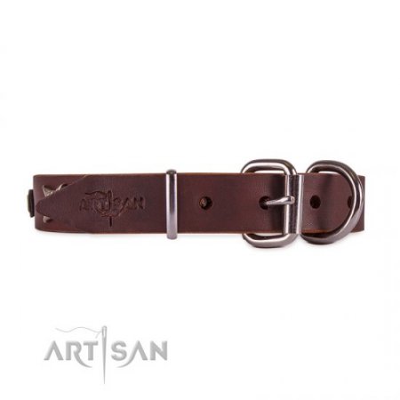 Handmade Strong Brown Studded Dog Collar FDT Artisan
