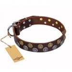 Best Designer Leather Dog Collar FDT Artisan 'Strong Shields'