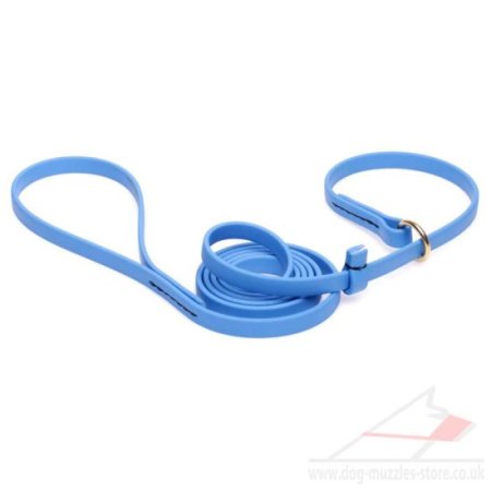Waterproof Dog Collar and Leash in Light Blue