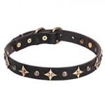 New Dog Collar "Milky Way" 1 inch (25 mm)