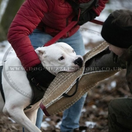 Dog Bite Sleeve Cover with Handle, Jute